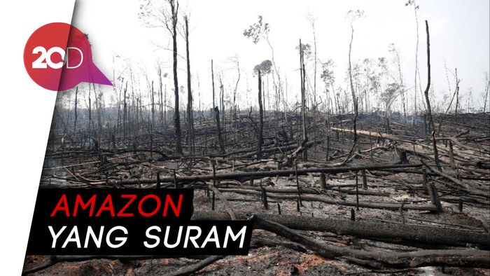 Melihat Kerusakan Amazon Akibat Kebakaran Hutan