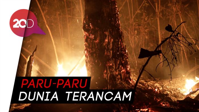 Perangi Kebakaran Amazon, Negara G7 Gelontorkan Rp 285 Milliar