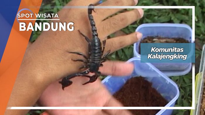 Komunitas Kalajengking, Bandung 