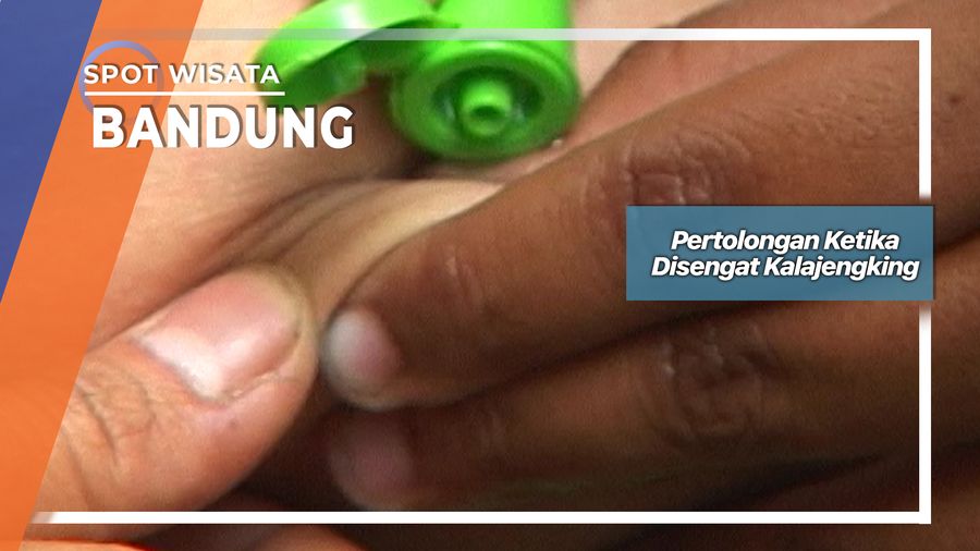 Pertolongan Ketika Disengat Kalajengking, Bandung 