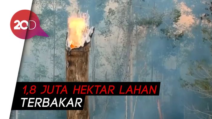 Tunda Kampanye, Presiden Bolivia Padamkan Kebakaran Hutan