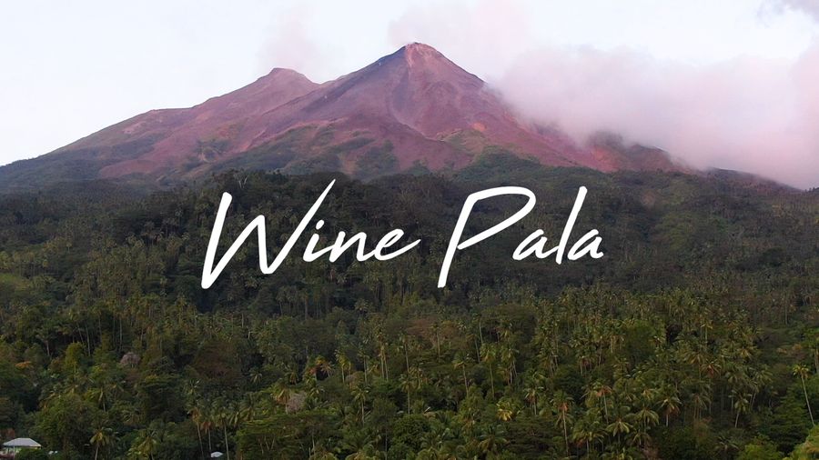 Wine Pala Khas Pulau Siau! Kualitas Terbaik Racikan Nusantara