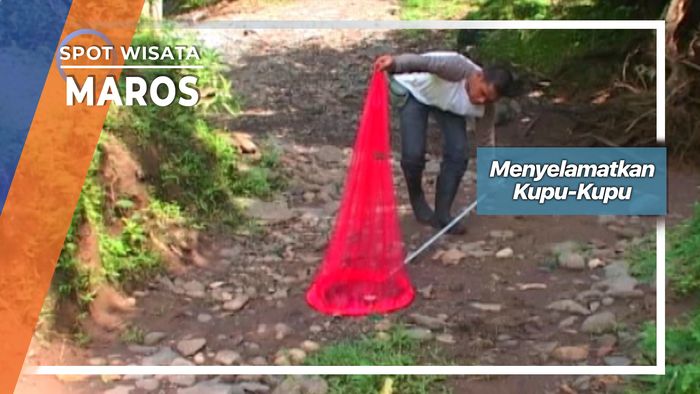 Menyelamatkan Kupu-Kupu, Maros