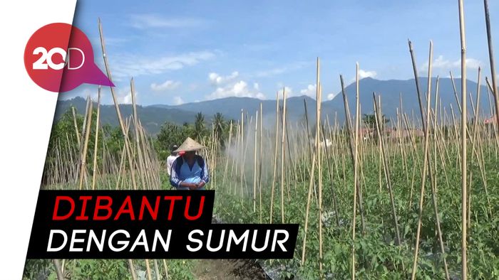  Petani di Sigi Kembali Bekerja Tanpa Saluran Irigasi