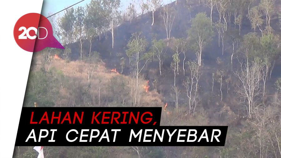 Gunung Kebo Trenggalek Terbakar, 1,5 Hektare Lahan Hangus