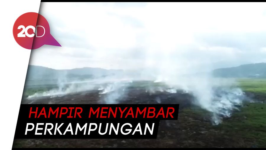 Lagi, 150 Hektare Lahan di Konawe Dilalap Api