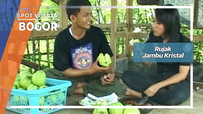 Rujak Jambu Biji Kristal Yang Tanpa Biji Dari Margajaya Bogor