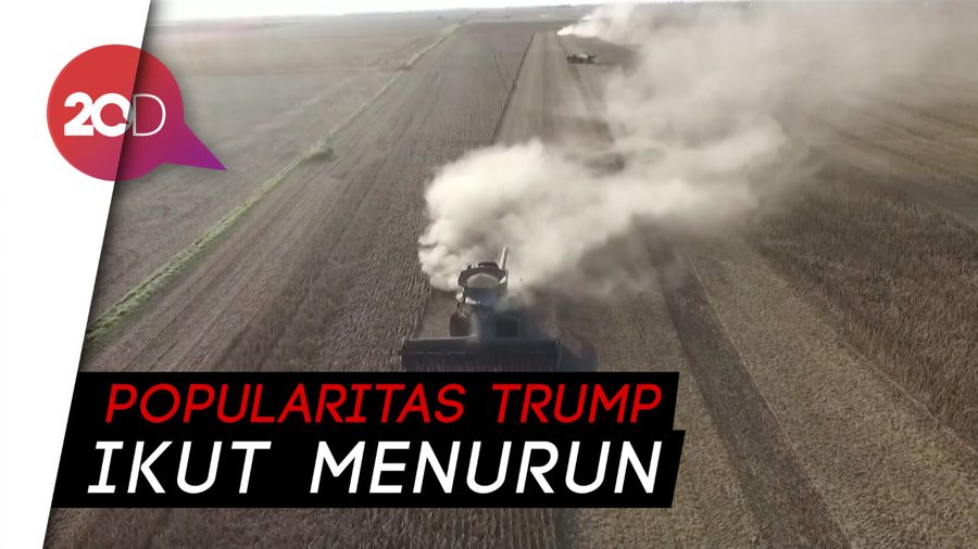 Sektor Pertanian Amerika Terpukul Perang Dagang China-AS