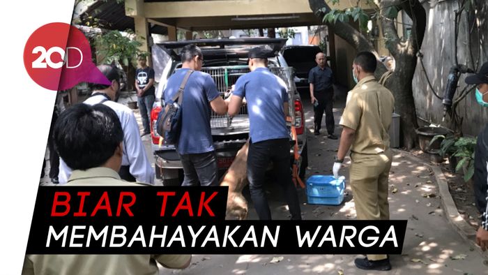 Anjing Bima Aryo Diangkut, Lurah: Memang Harapan Masyarakat