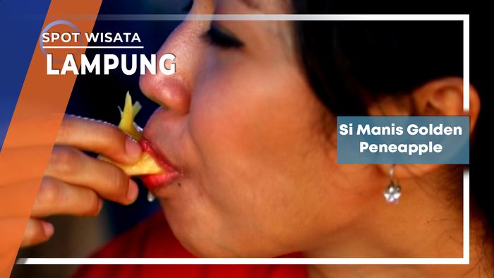 Simanis Golden Pineapple, Lampung