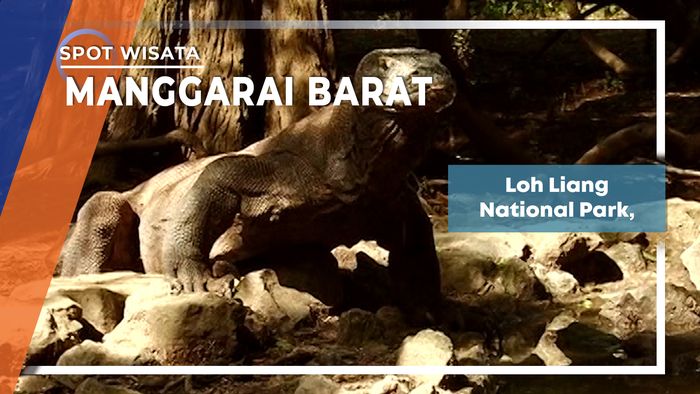 Loh Liang National Park Manggarai Barat, Nusa Tenggara Timur