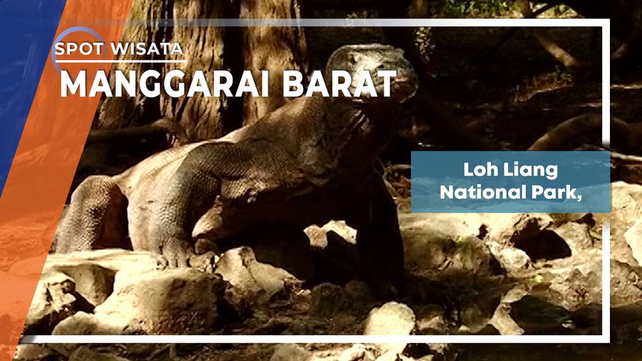 Loh Liang National Park Manggarai Barat, Nusa Tenggara Timur