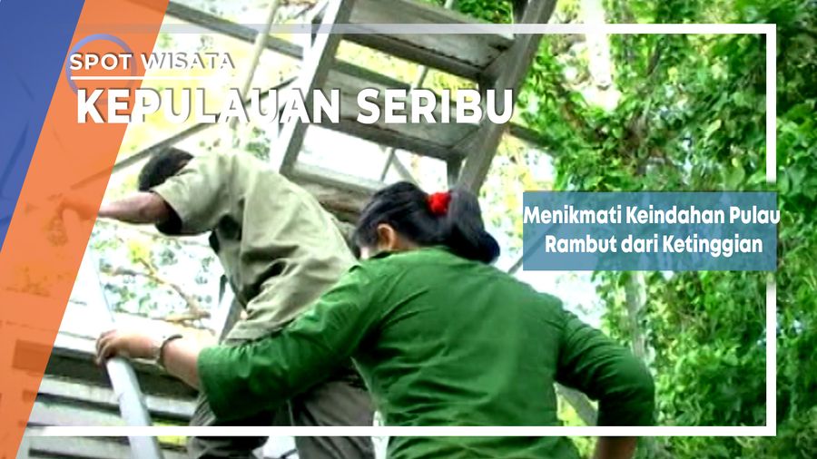 Menikmati Keindahan Pulau Rambut Kepulauan Seribu dari Ketinggian Menara Pengawas Burung