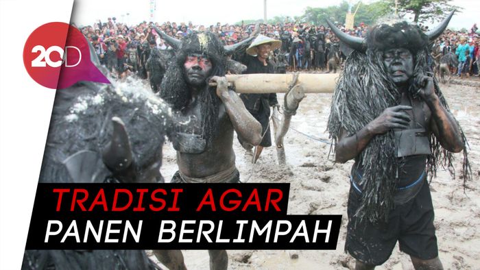 Seru! Melihat Tradisi Keboan Aliyan di Banyuwangi