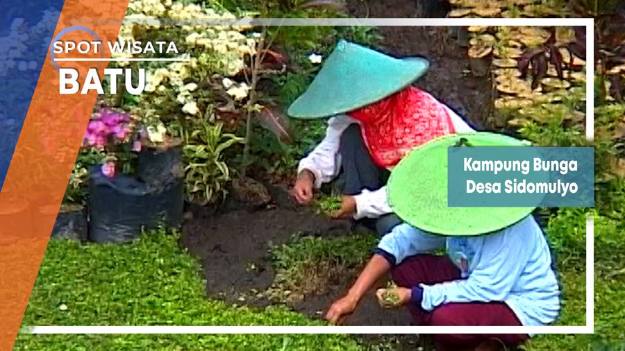 Kampung Bunga Desa Sidomulyo, Batu