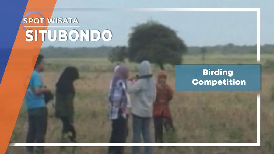 Birding Competition, Situbondo