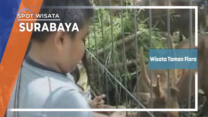 Wisata Taman Flora, Surabaya