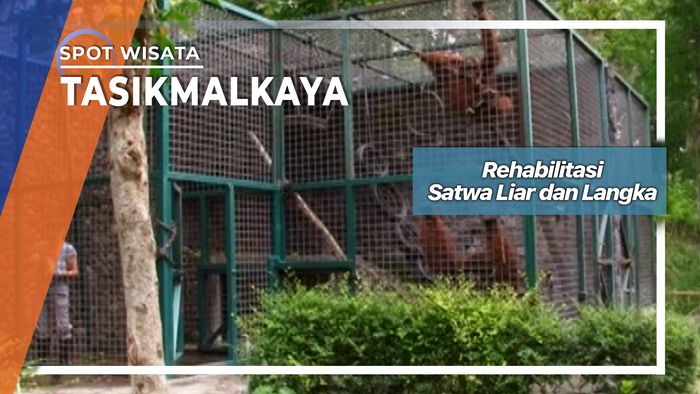 Rehabilitasi Satwa Liar dan Langka, Yogyakarta