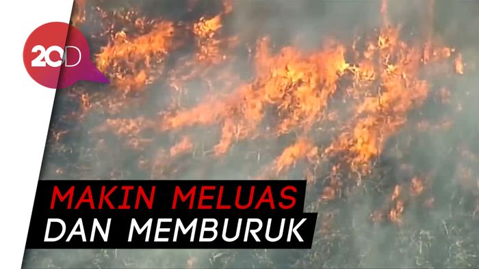 Queensland Diamuk Si Jago Merah, Warga Diungsikan