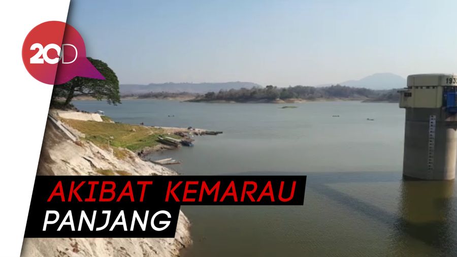 Waduk Pacal Surut, Lahan Pertanian di 4 Kecamatan Kekeringan