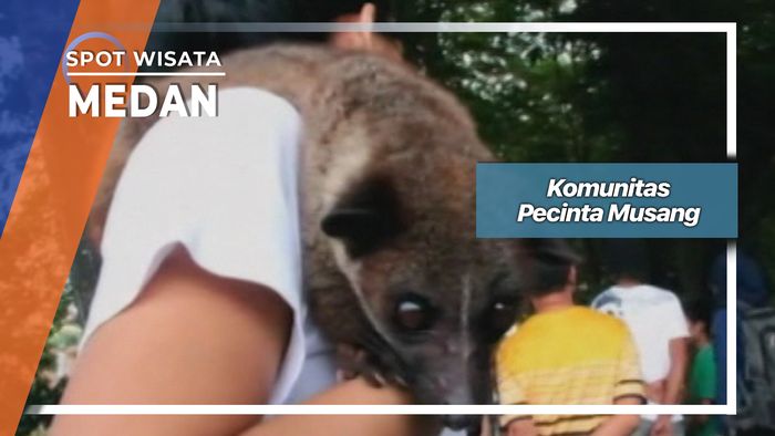 Komunitas Pecinta Musang, Medan
