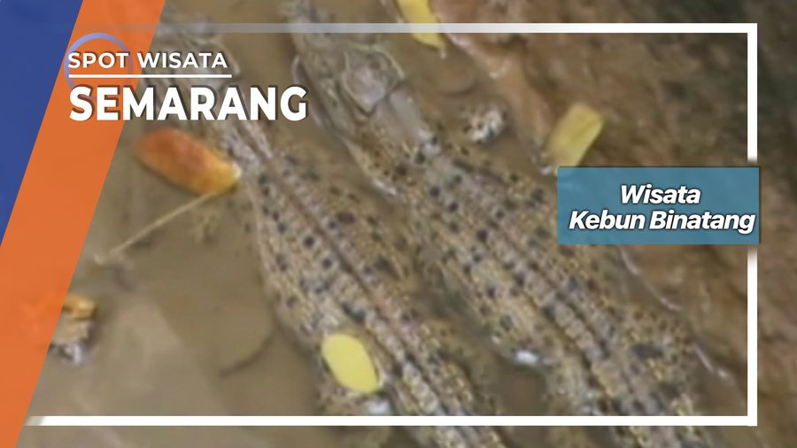 Wisata Kebun Binatang, Semarang   