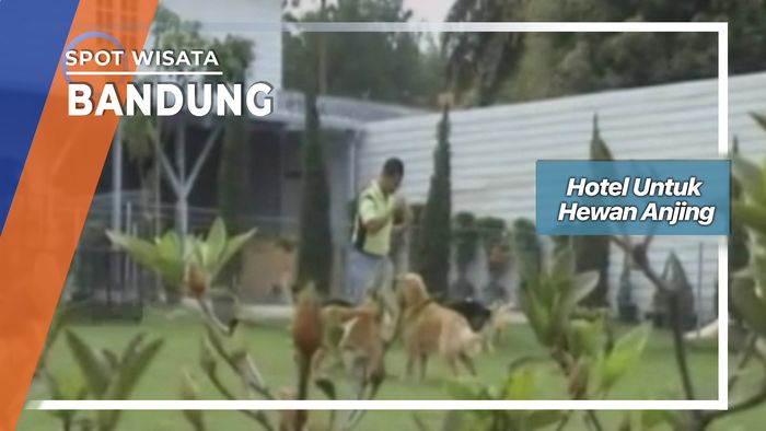 Hotel Anjing, Bandung