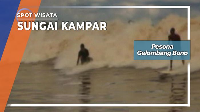 Berselancar Gelombang Bono Setinggi Dua Meter Di Sungai Kampar Riau