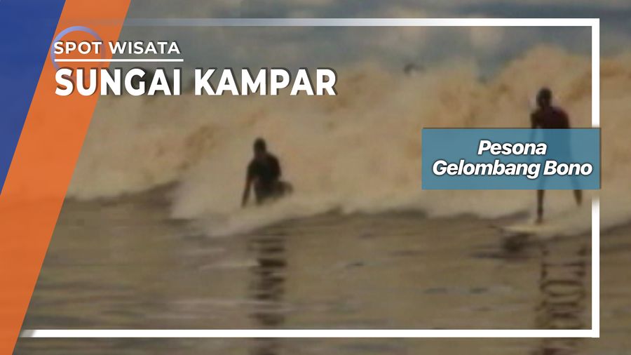 Berselancar Gelombang Bono Setinggi Dua Meter Di Sungai Kampar Riau