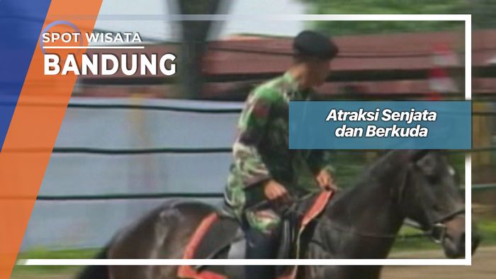 Kuda Kavaleri Bandung Jawa Barat