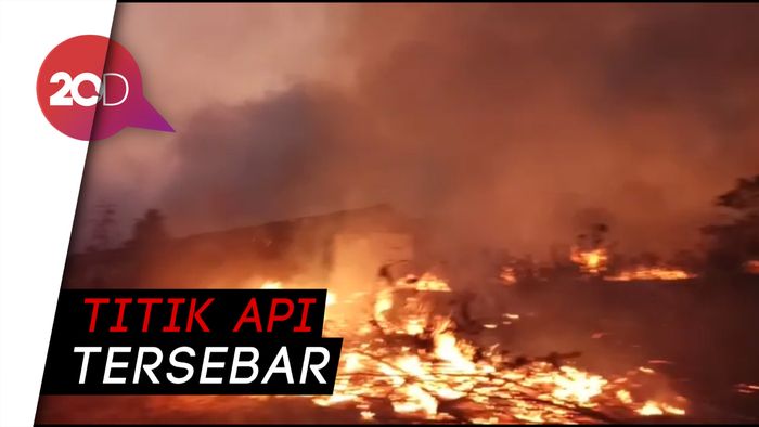 Api Berkobar di Hutan Banjar Kalsel, Sawah Ikut Terbakar