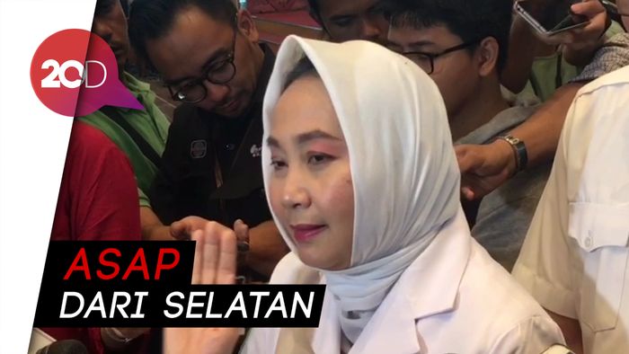 Penjelasan BMKG Soal Pekatnya Kabut Asap di Riau