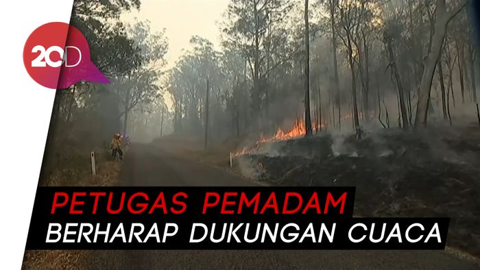Kebakaran Hutan di Queensland Hancurkan Puluhan Rumah