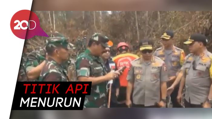 Panglima TNI-Kapolri Tinjau Pemadaman Karhutla Riau