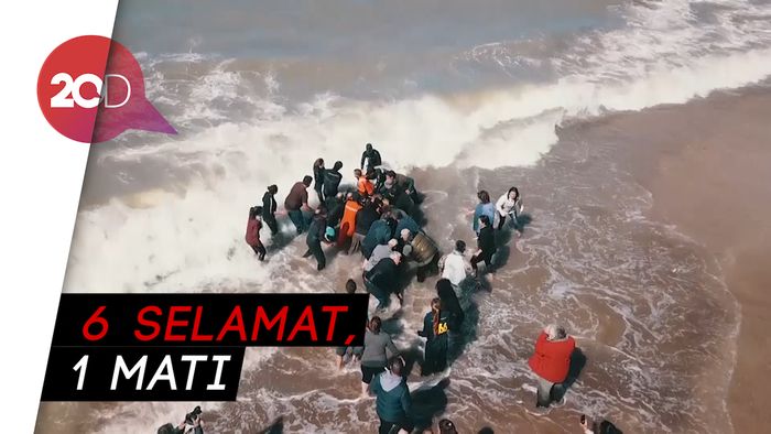 Dramatis! Berjibaku Selamatkan Para Paus Pembunuh yang Terdampar