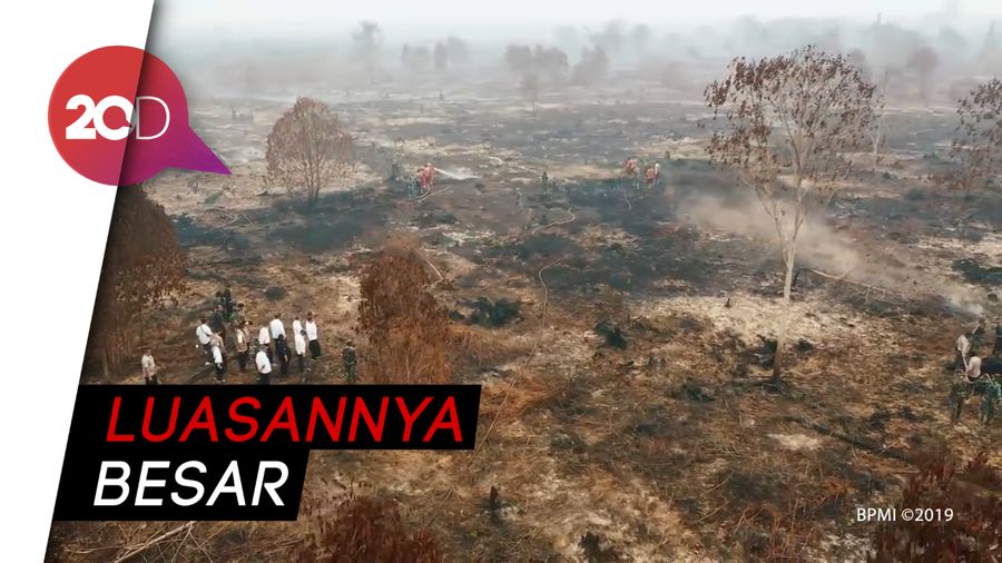 Jokowi Mencium Karhutla di Riau Terorganisasi