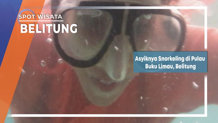 Asyiknya Snorkeling di Pulau Buku Limau, Belitung 