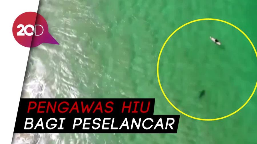 Fungsi Lain Drone Sebagai Pencari dan Penyelamat