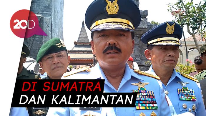 Penanganan Karhutla, Panglima TNI Klaim 44 Hotspot Telah Padam
