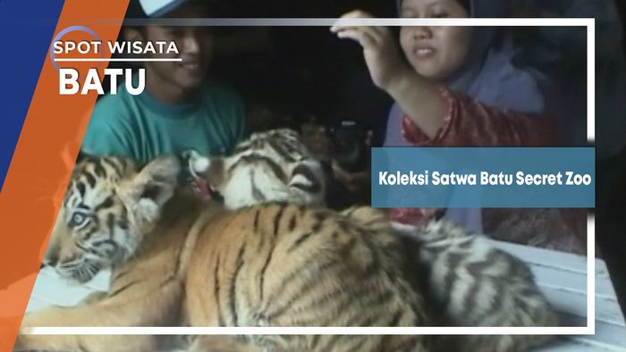 Koleksi Satwa Batu Secret Zoo, Malang