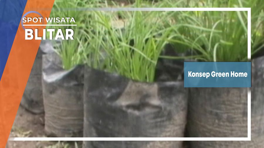 Konsep Green Home, Blitar