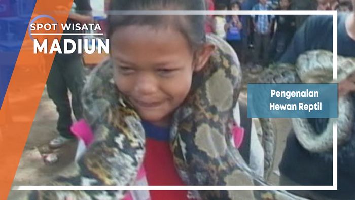 Pengenalan Hewan Reptil, Madiun