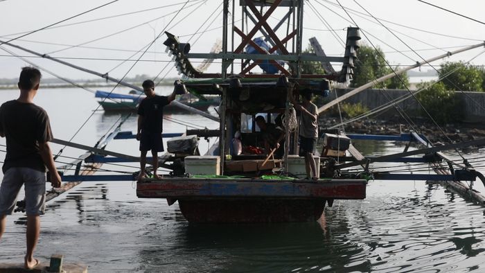 Solusi Pemerintah Daerah Hadapi Kendala Pengiriman Lobster di Simeulue