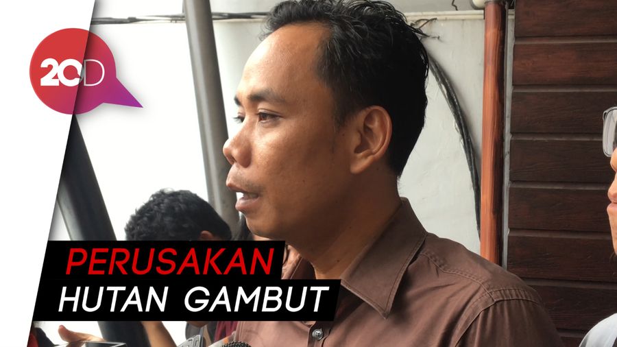 Walhi: Kami Identifikasi Ada 288 Perusahaan Perusak Ekosistem Gambut