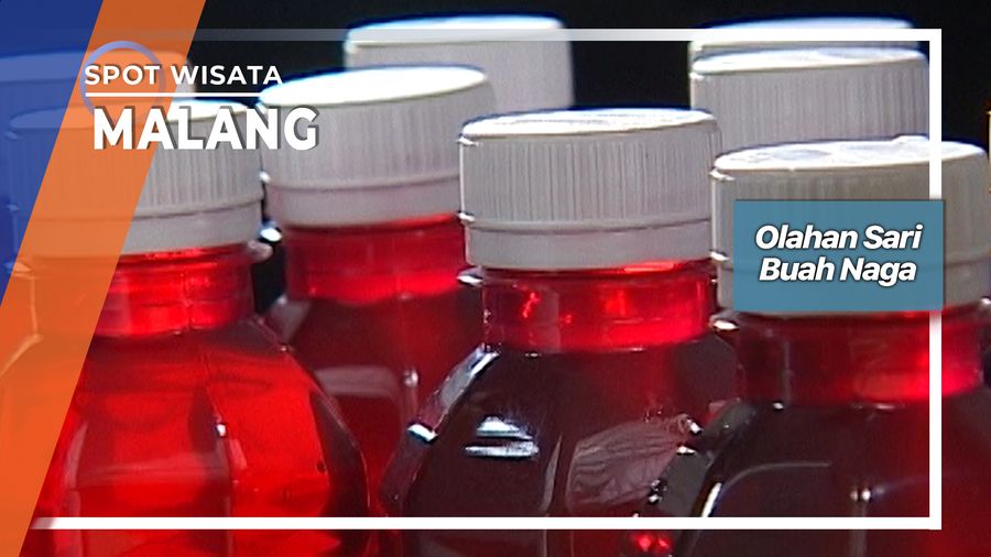 Olahan Buah Naga Malang Jawa Timur