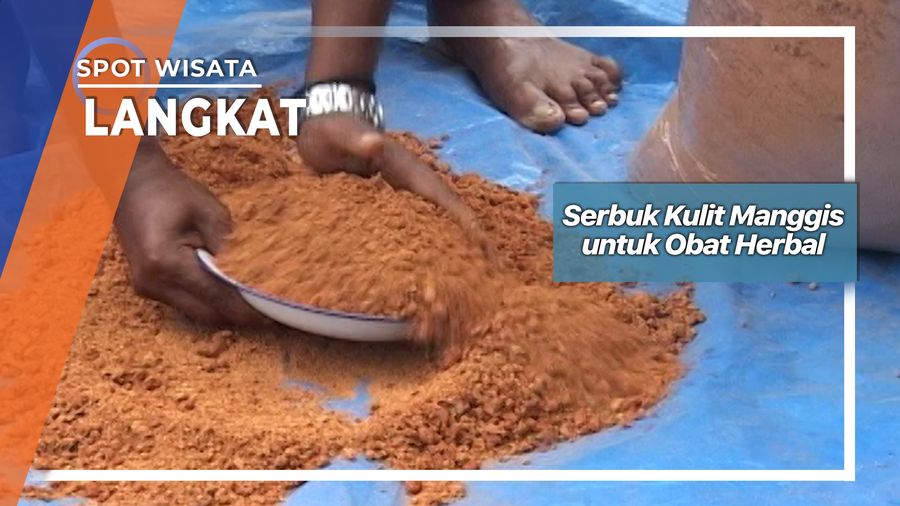 Serbuk Kulit Manggis untuk Obat Herbal, Langkat