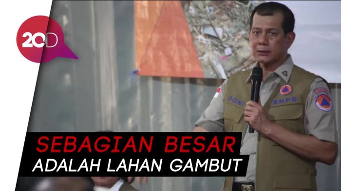 BNPB Curhat Sulitnya Atasi Karhutla di Beberapa Wilayah Indonesia