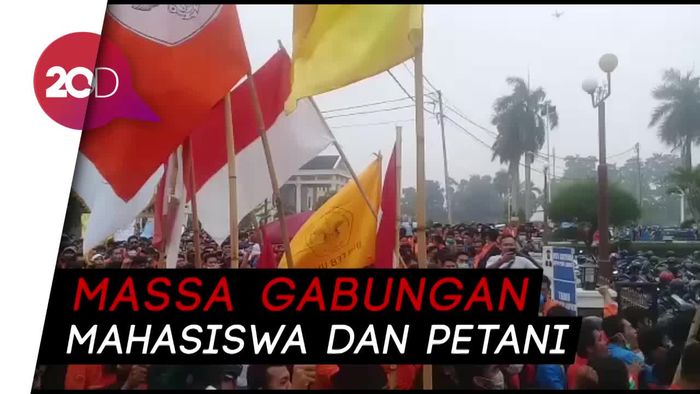 Ricuh Demo Tolak Revisi UU KPK di Jambi, 2 Mahasiswi Pingsan
