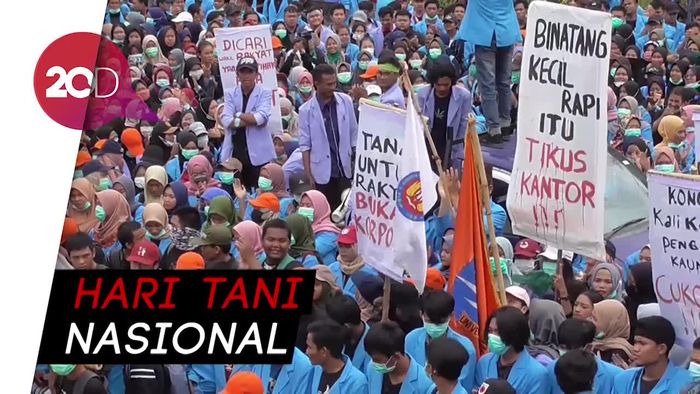 Unras Mahasiswa di Babel, Tuntut Pemerintah Perhatikan Nasib Petani