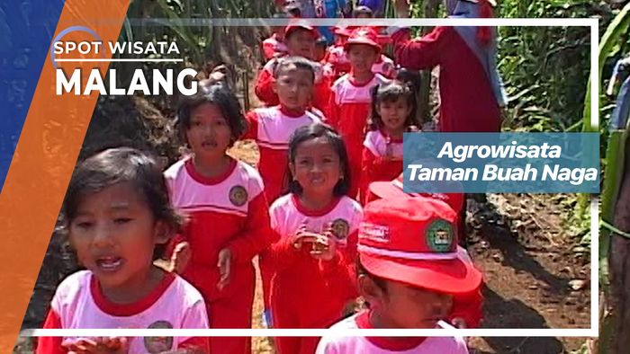 Agrowisata Taman Buah Naga, Malang  